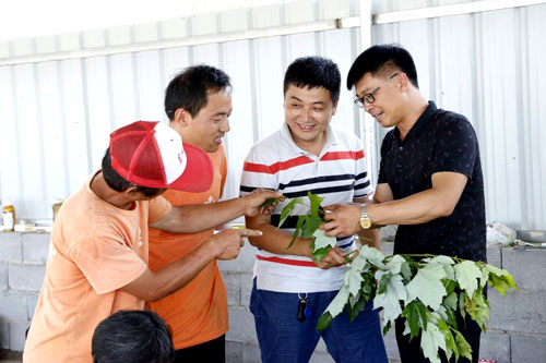 夏日來臨，當(dāng)你吹空調(diào)喊熱的時(shí)候，讓我?guī)阋黄鹱哌M(jìn)東楓園林體驗(yàn)一下東楓人高溫下工作不一樣的夏日風(fēng)采