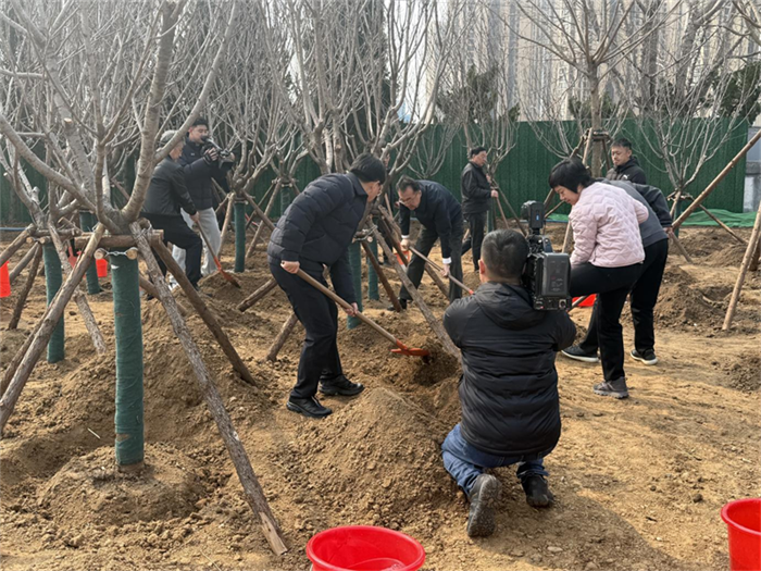 履行植樹義務 共建美麗家園 ——膠州市委書記張新竹帶隊參加2026年義務植樹活動